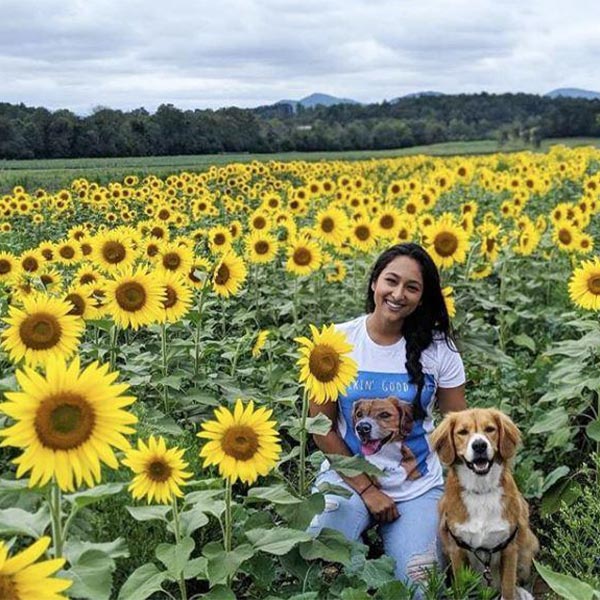 Original Pet Pop Art Women's Crew