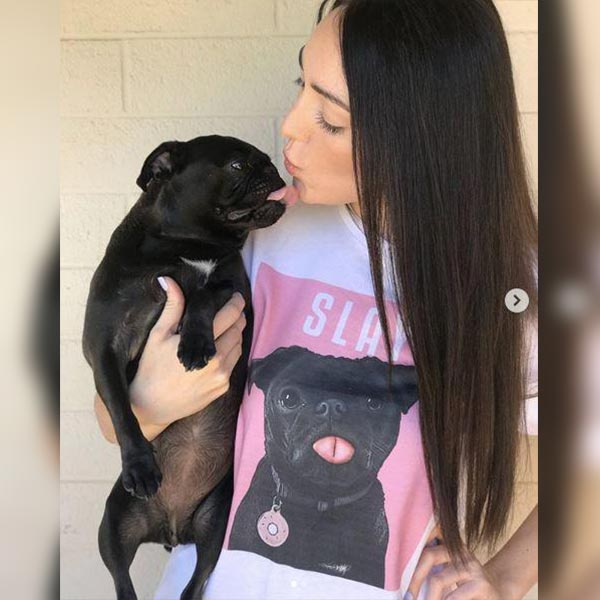 Original Pet Pop Art Women's Crew