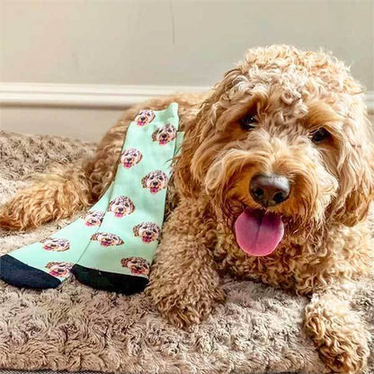 Custom Pet Art Socks