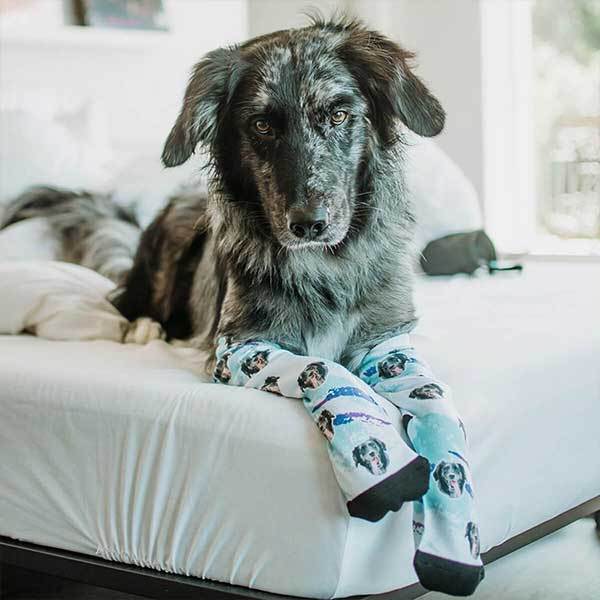 Custom Pet Art Socks