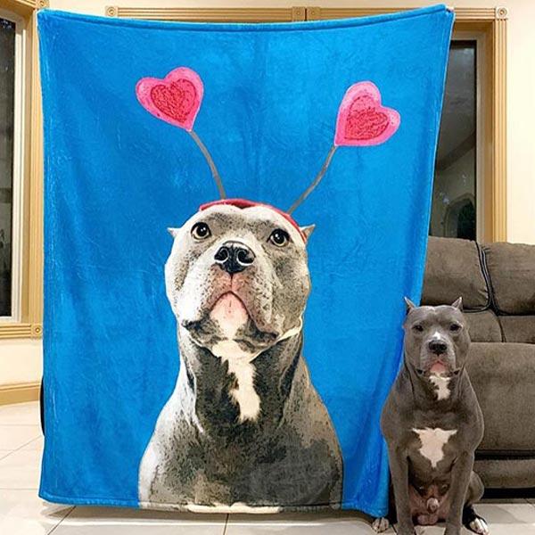 Original Pet Pop Art Fleece Blanket