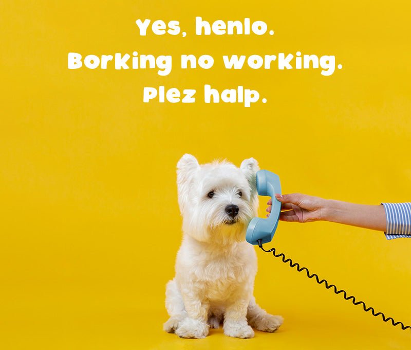 Shipping Insurance - $15